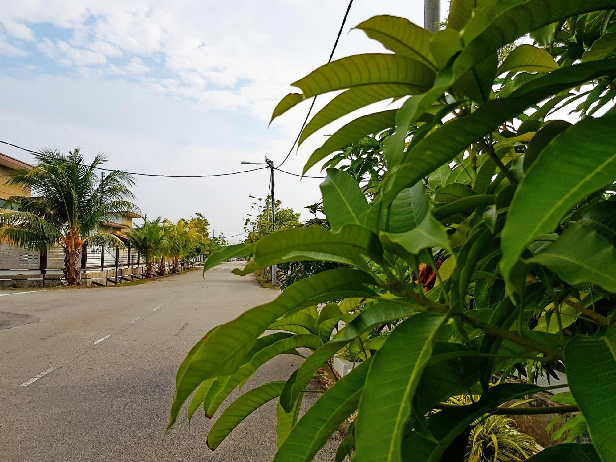 Siantan In Paya Rumput Near Std Hang Jebat, Sg Udang & Uitm Lendu Hotel Malacca Exterior photo